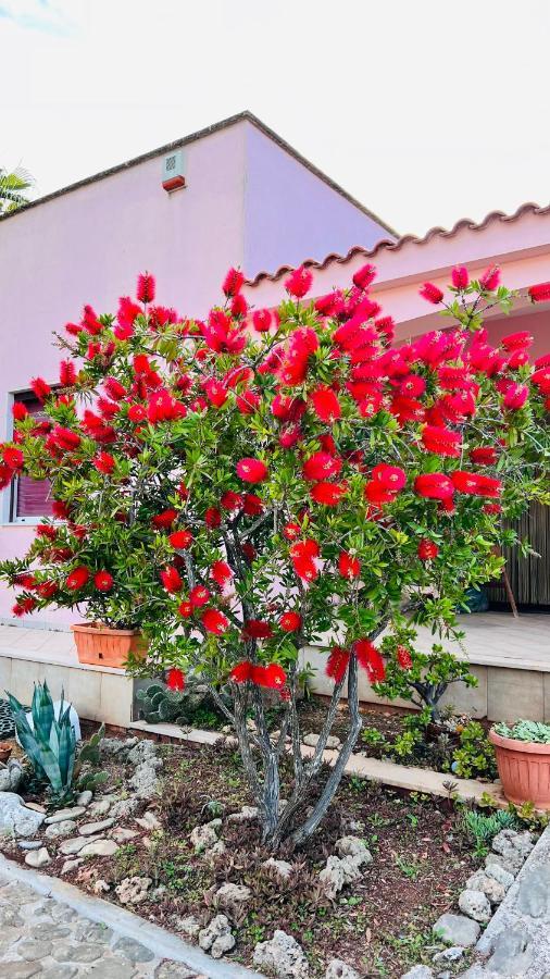 I Giardini Dell'Agave Apartment Torre Santa Sabina Exterior photo